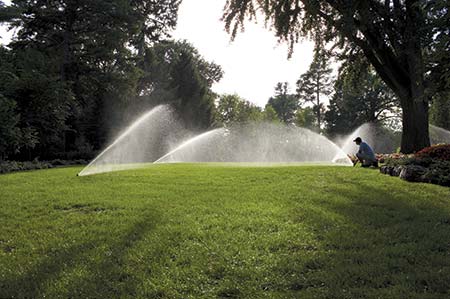 sprinkler-system-install-2