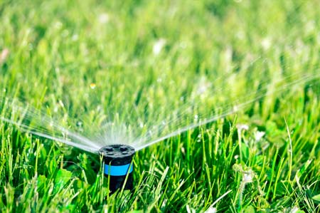 PPC – Sprinkler System Installation