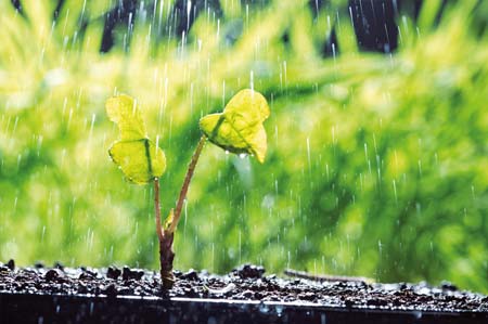 PPC – Sprinkler System Installation