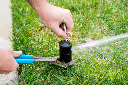 Sprinkler System Repairs and Maintenance