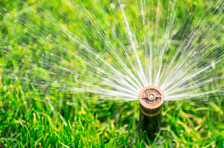 Steps to Take for Reducing Water Consumption Rates and Costs