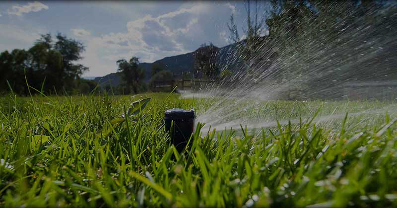 Lawn Sprinkler Installation Essex County